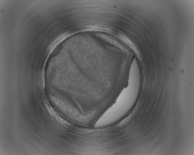 X0000084030892200703161803