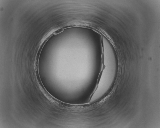 X0000084030893200703161803