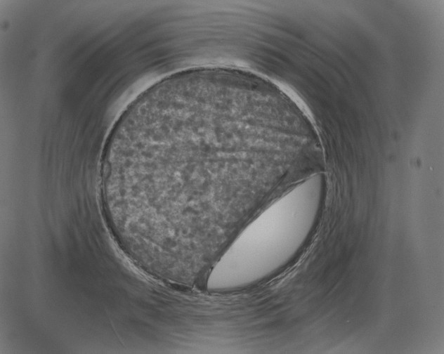 X0000084030895200703161803