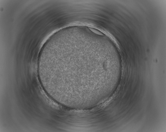 X0000084030896200703161803