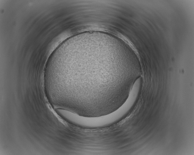 X0000084030898200703161803