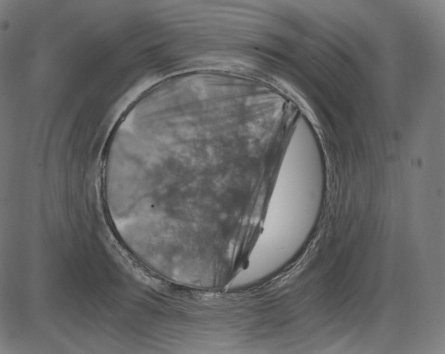 X0000084030899200703161803