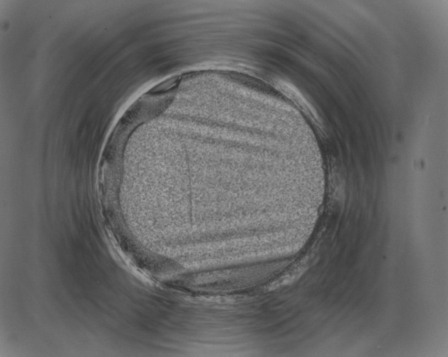 X0000084030900200703161803