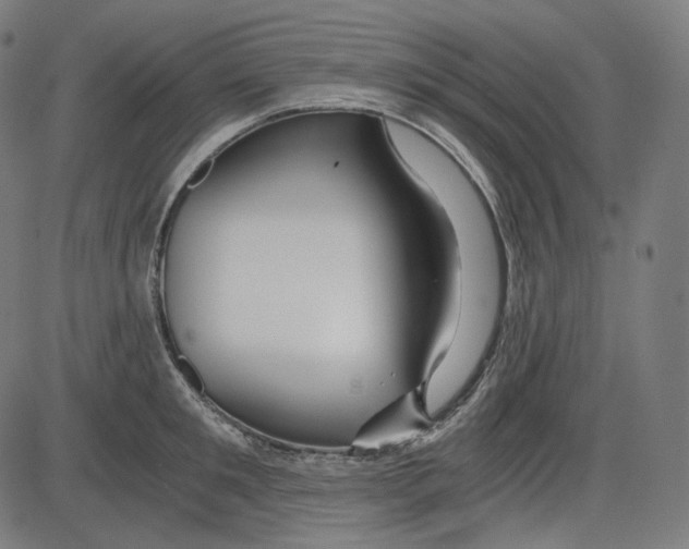 X0000084030901200703161803