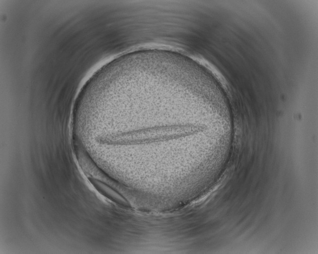 X0000084030902200703161802