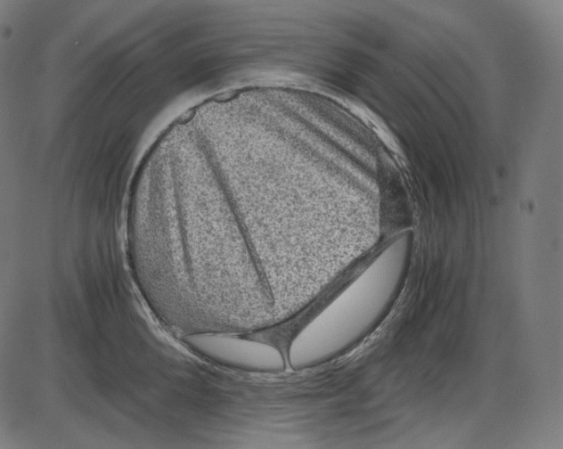 X0000084030904200703161802