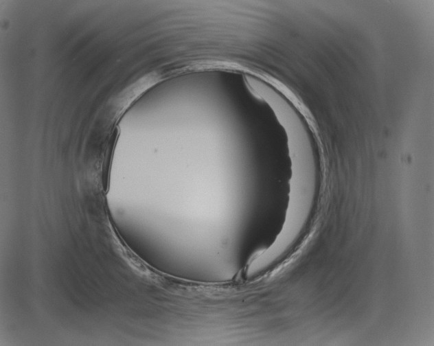 X0000084030905200703161802