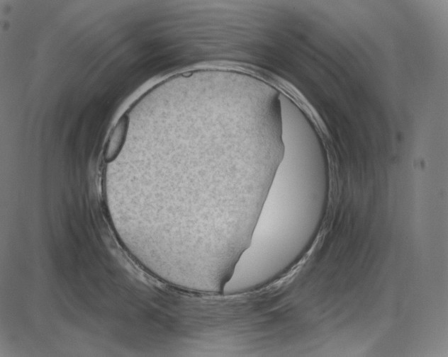 X0000084030908200703161802