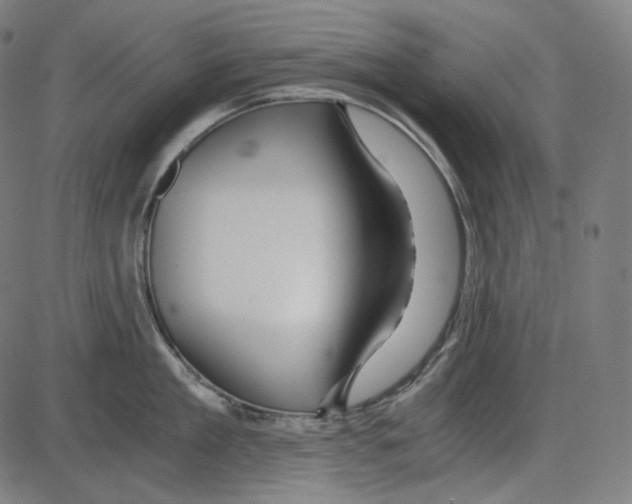 X0000084030909200703161802