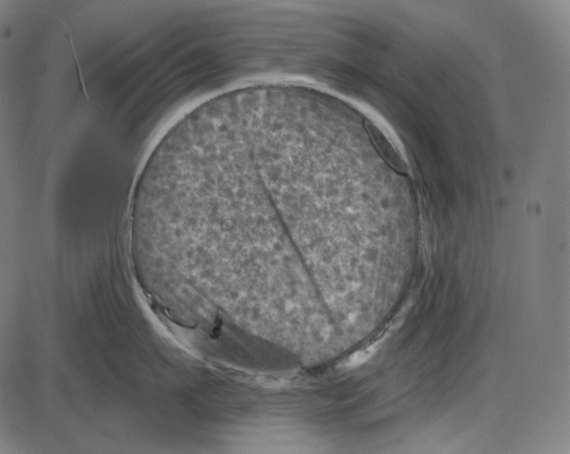 X0000084030911200703161802