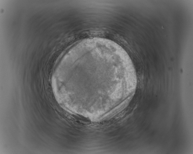 X0000084030913200703161801