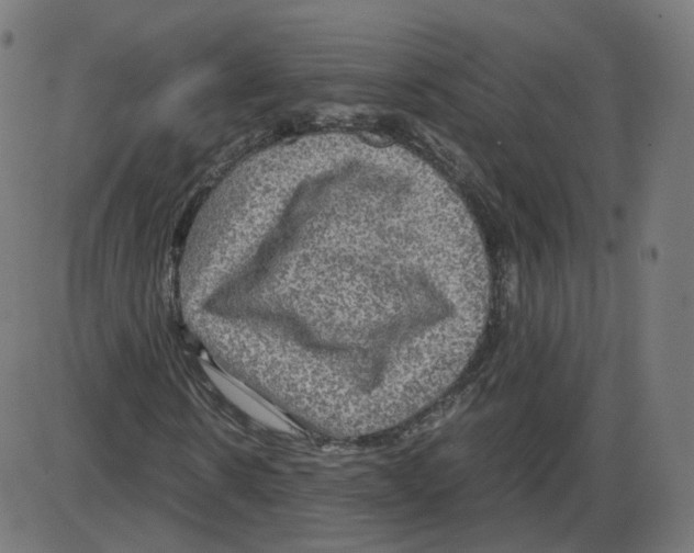 X0000084030914200703161801