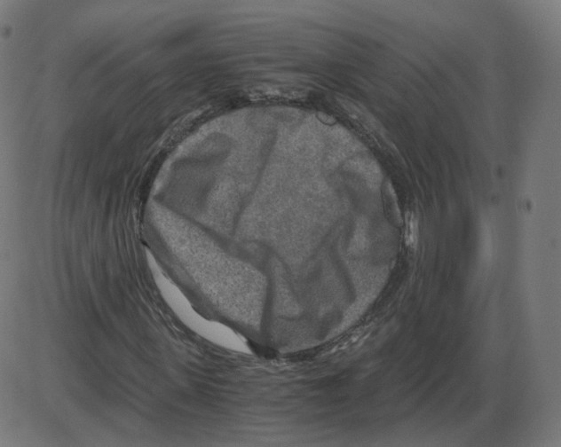 X0000084030915200703161802