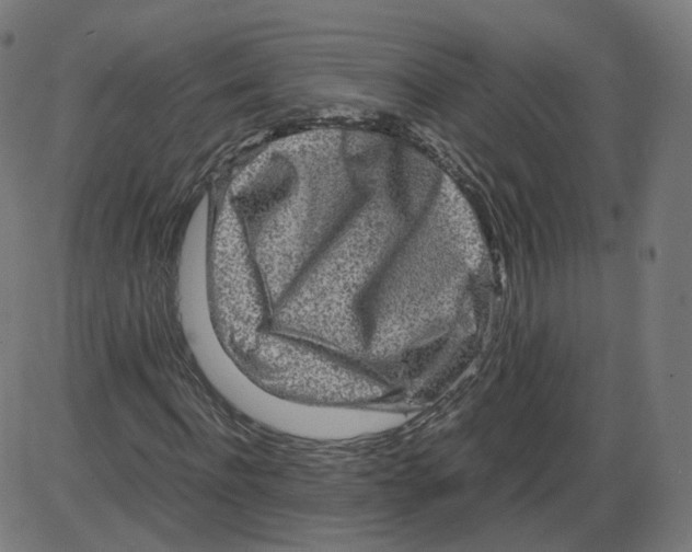 X0000084030916200703161802