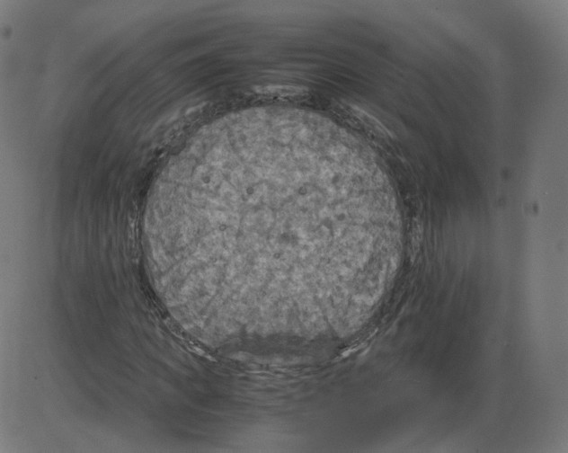 X0000084030917200703161802