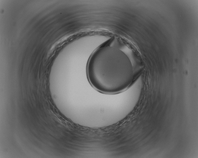 X0000084030920200703161802