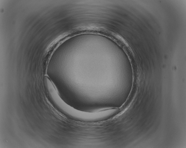 X0000084030922200703161802