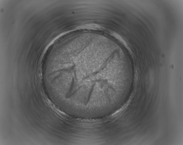 X0000084030923200703161802