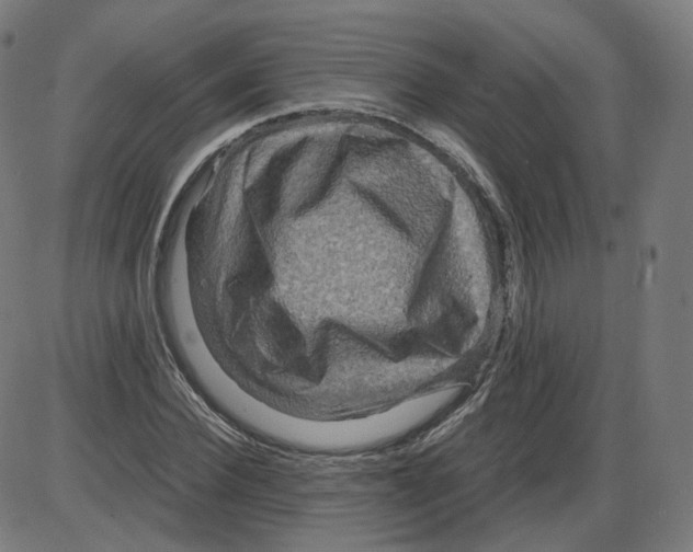 X0000084030924200703161802