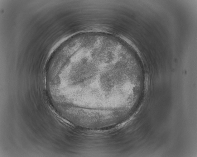 X0000084030925200703161802