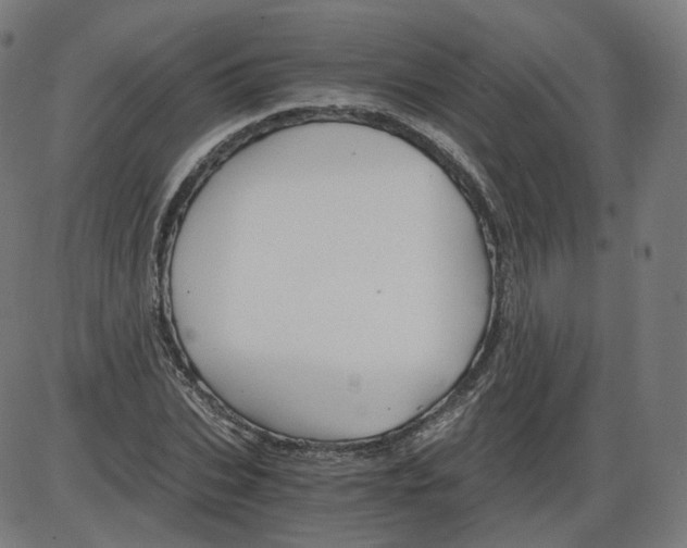 X0000084030927200703161802