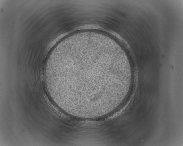 X0000084030929200703161802