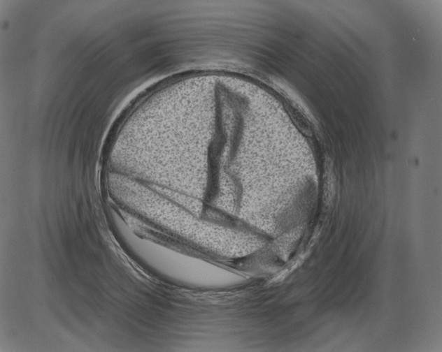 X0000084030932200703161802