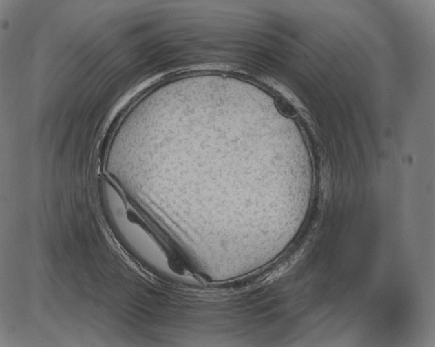 X0000084030933200703161802