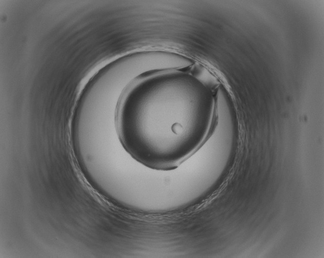 X0000084030936200703161802