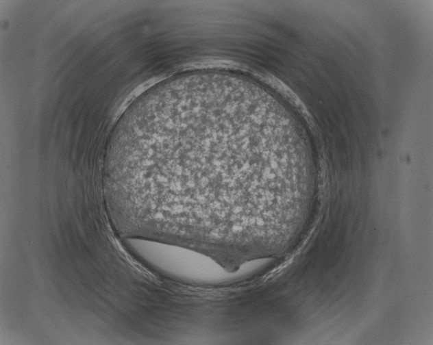 X0000084030937200703161802