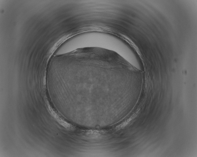 X0000084030938200703161802