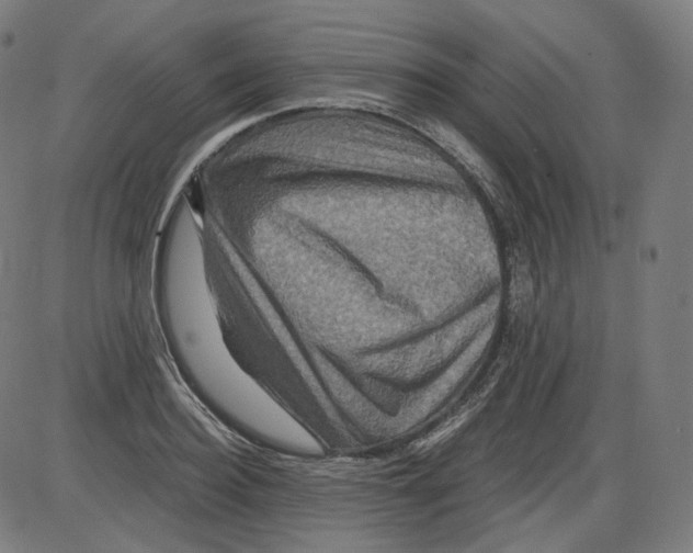 X0000084030940200703161802