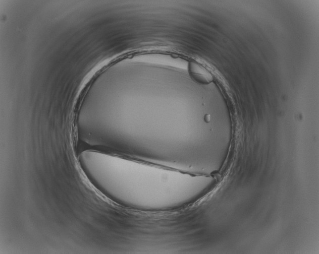 X0000084030941200703161802