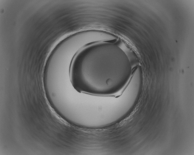 X0000084030942200703161802