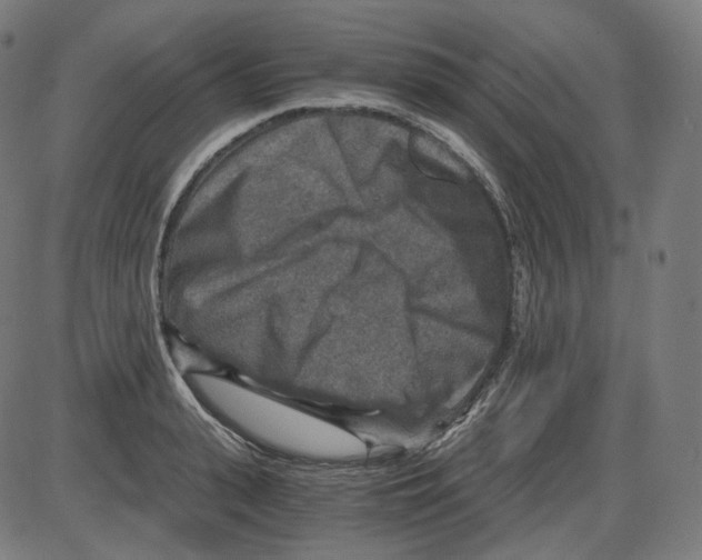 X0000084030943200703161802