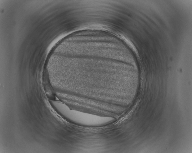 X0000084030944200703161802