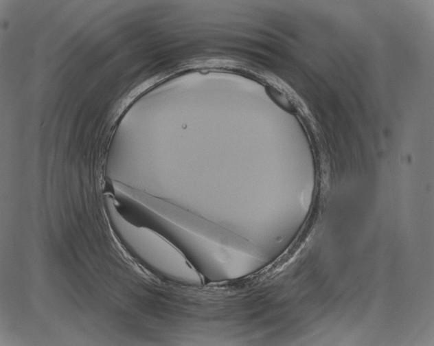 X0000084030945200703161802