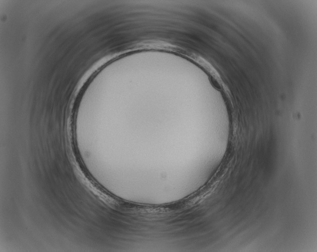 X0000084030947200703161802