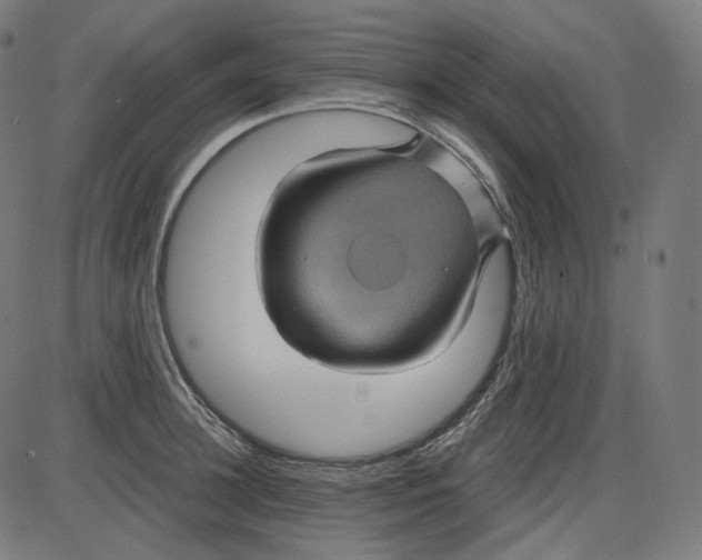 X0000084030948200703161802