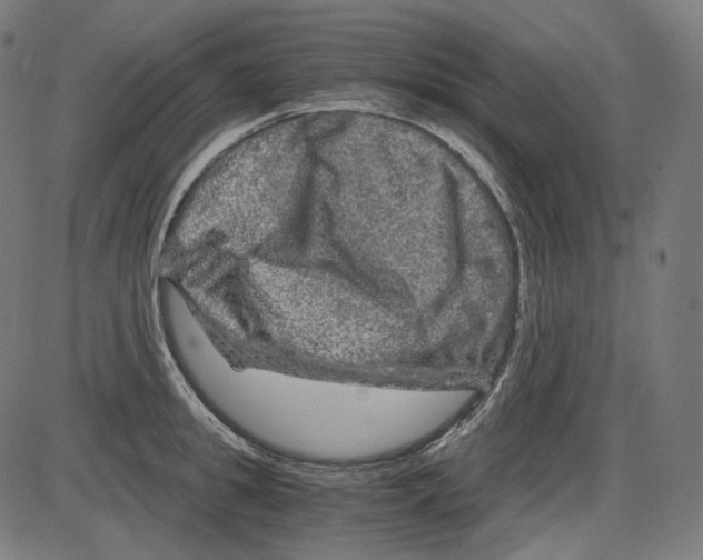 X0000084030949200703161802