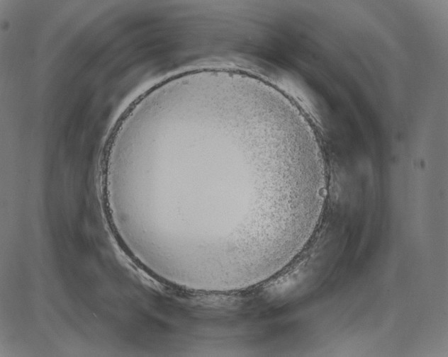 X0000084030950200703161802