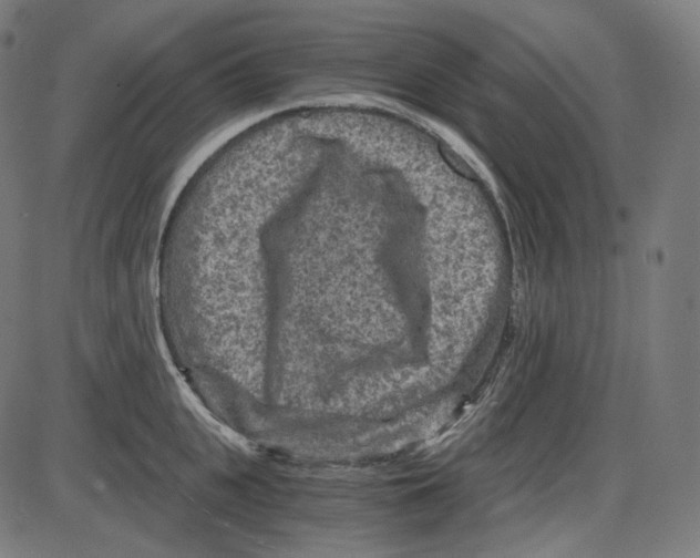 X0000084030951200703161802