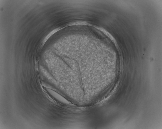 X0000084030953200703161802