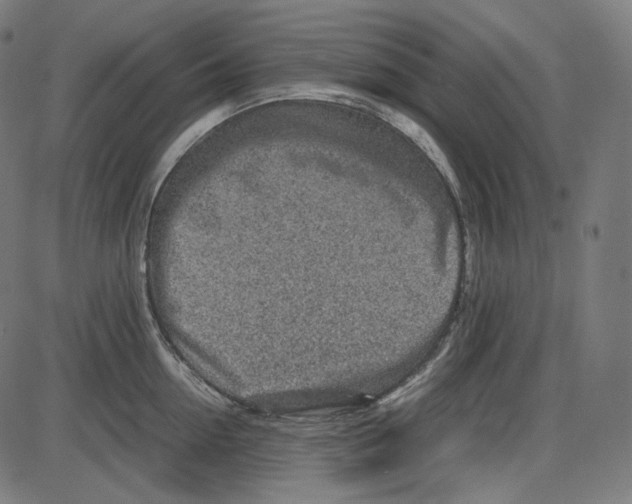 X0000084030954200703161802