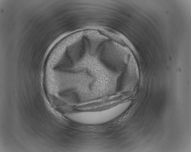 X0000084030955200703161802