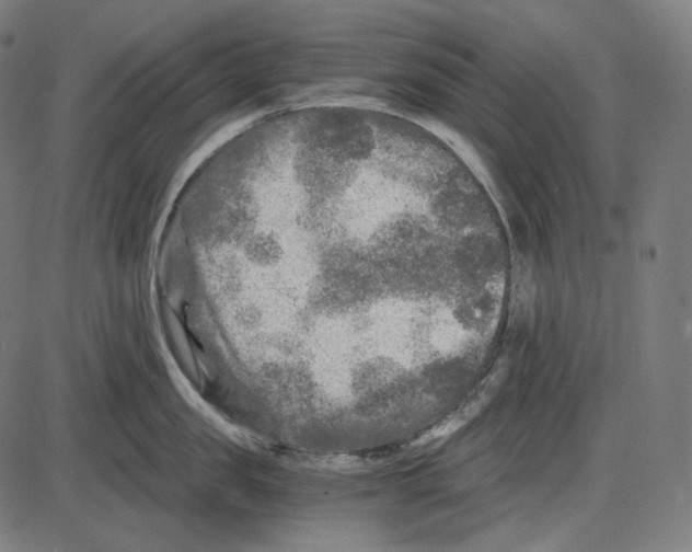 X0000084030957200703161802