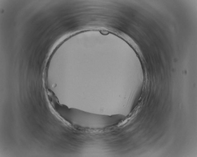 X0000084030958200703161802