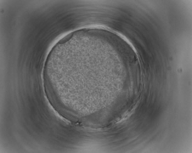 X0000084030959200703161802