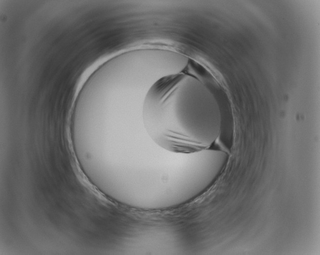 X0000084030960200703161802