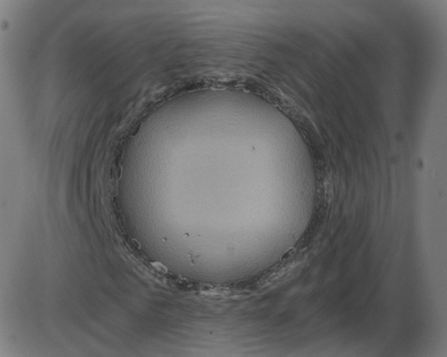 X0000084030961200703161801